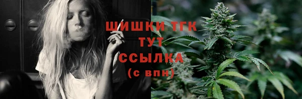 прущие грибы Аркадак