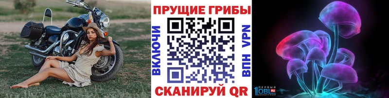 Псилоцибиновые грибы Magic Shrooms MEGA сайт Благодарный