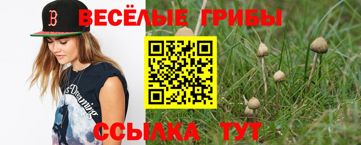 Псилоцибиновые грибы ЛСД  Вход с VPN  хочу наркоту  Благодарный  Псилоцибиновые грибы Psilocybine cubensis 