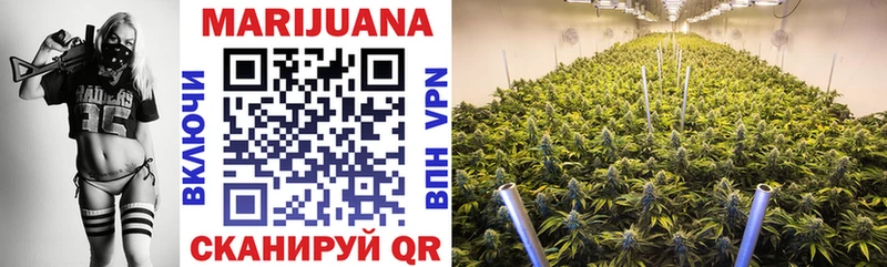 mega ТОР  мориарти как зайти  Бошки Шишки гибрид  магазин продажи   Благодарный 